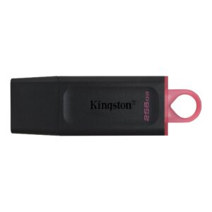 Kingston DataTraveler Exodia USB 3.2 Flash Drive